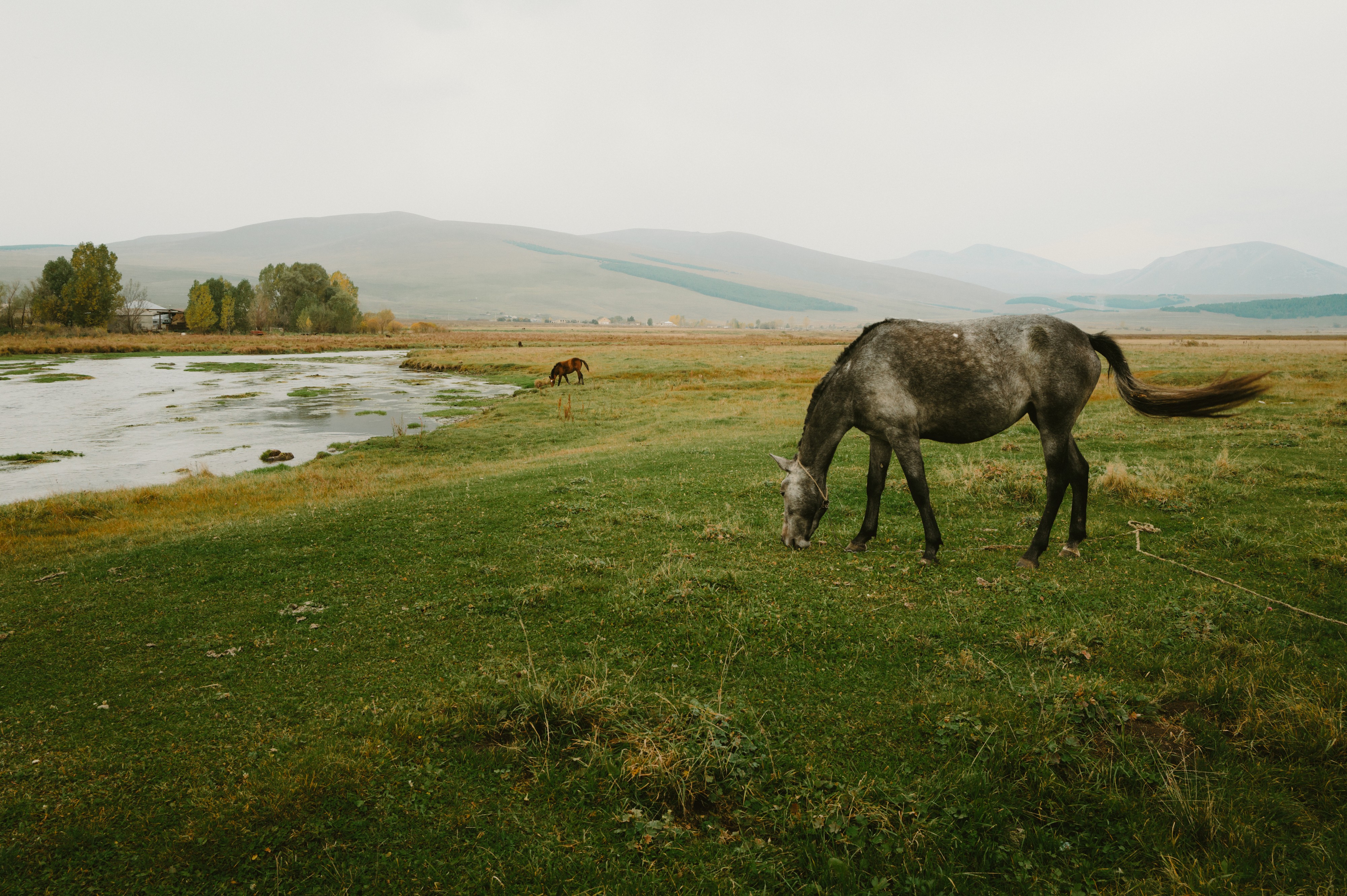 Image by Evangelos Tzemis