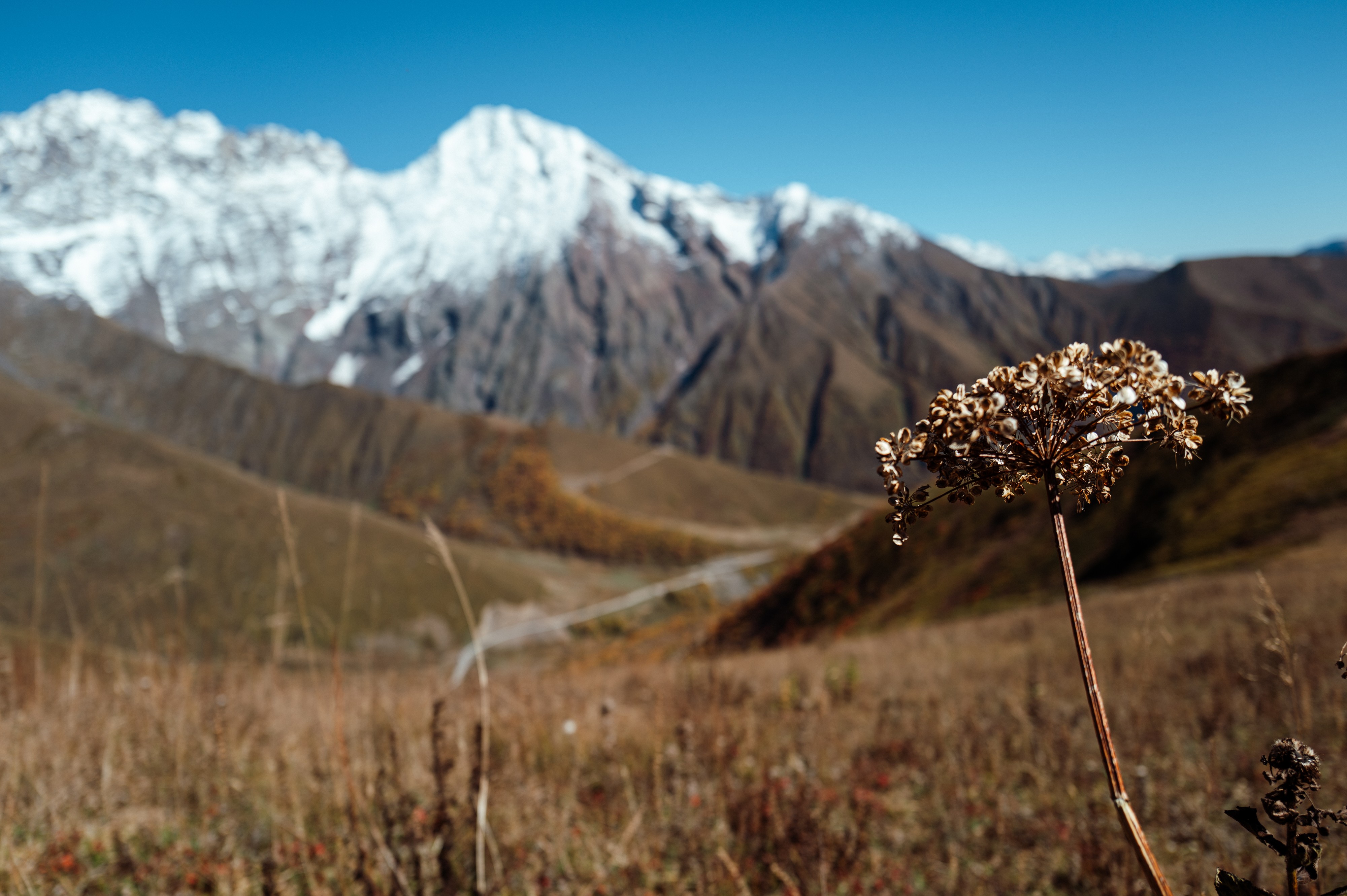 Image by Evangelos Tzemis